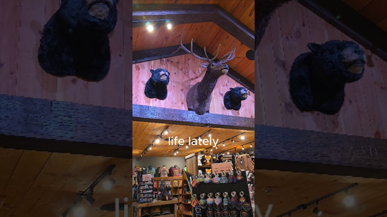 Anakeesta at Night | Gatlinburg, TN