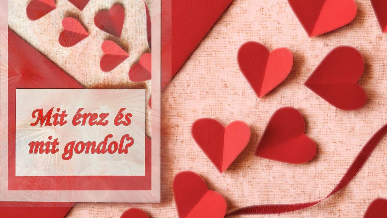 Azt &eacute;rzi, hogy egy kiszolg&aacute;ltatott, sz&ouml;rnyű helyzetben van   💘✨😃  #love #mirev&aacute;gyik