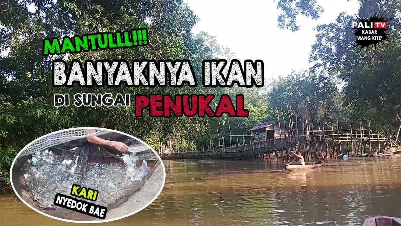 NINGGAK LANGSATAN