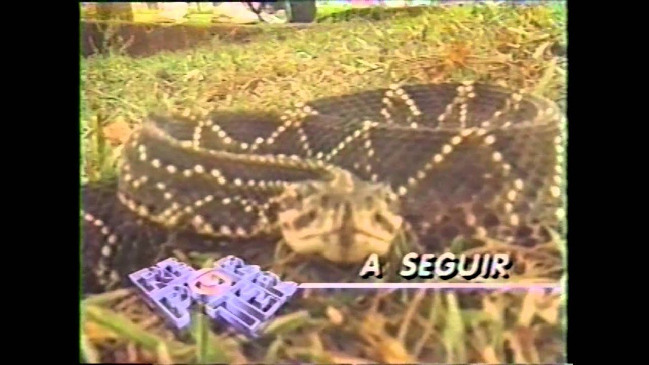 Especial sobre acidentes de trabalho no Brasil (inclui boias-frias da cana)