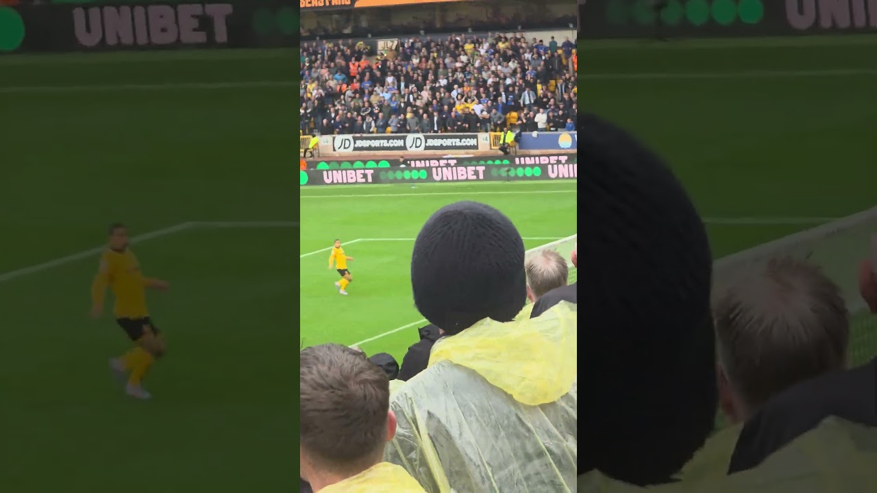 Noah Okafor GOAL! Leeds vs Wolves #premierleague #football #footballresults #positivity