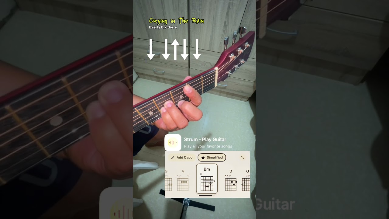 Crying in the Rain - Everly Brothers | Guitarlesson for Beginners #guitarcover