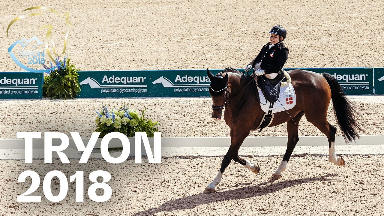 RE-LIVE | Grade II Para Dressage Freestyle - Tryon 2018 | FEI World Equestrian Games&trade;