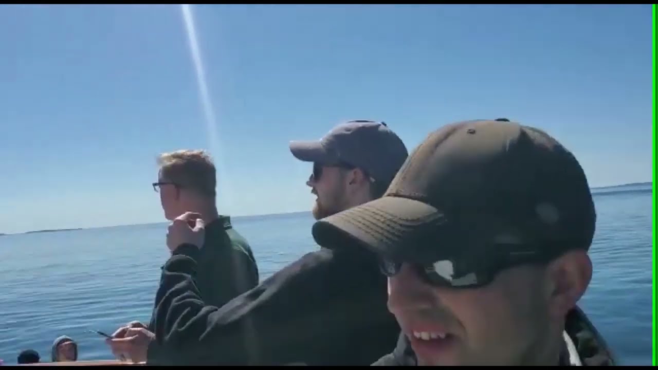 Massive Whales Off The Bay Of Fundy/St Andrew's Quoddy Link Marine Whale & Wildlife Cruises