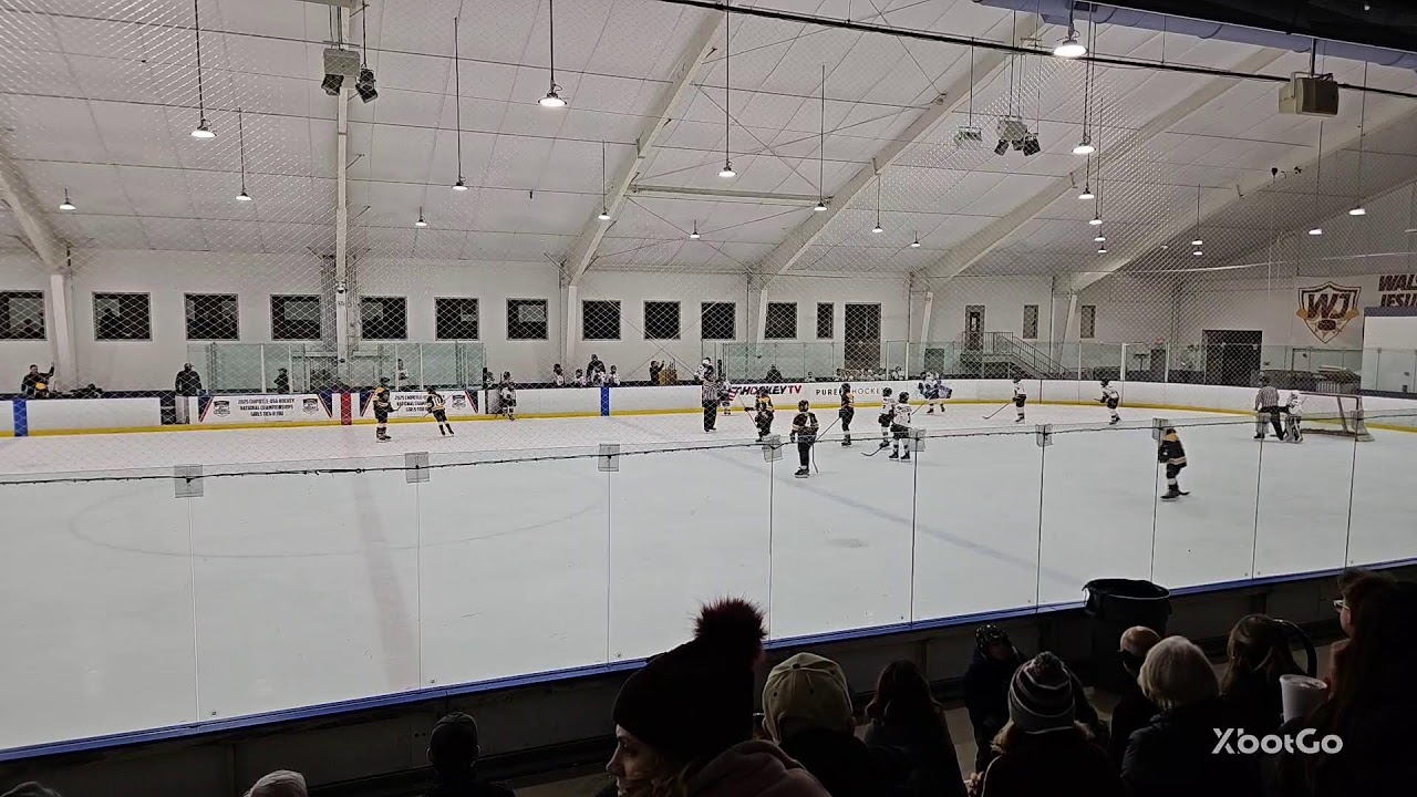 XbotGo Live Stream