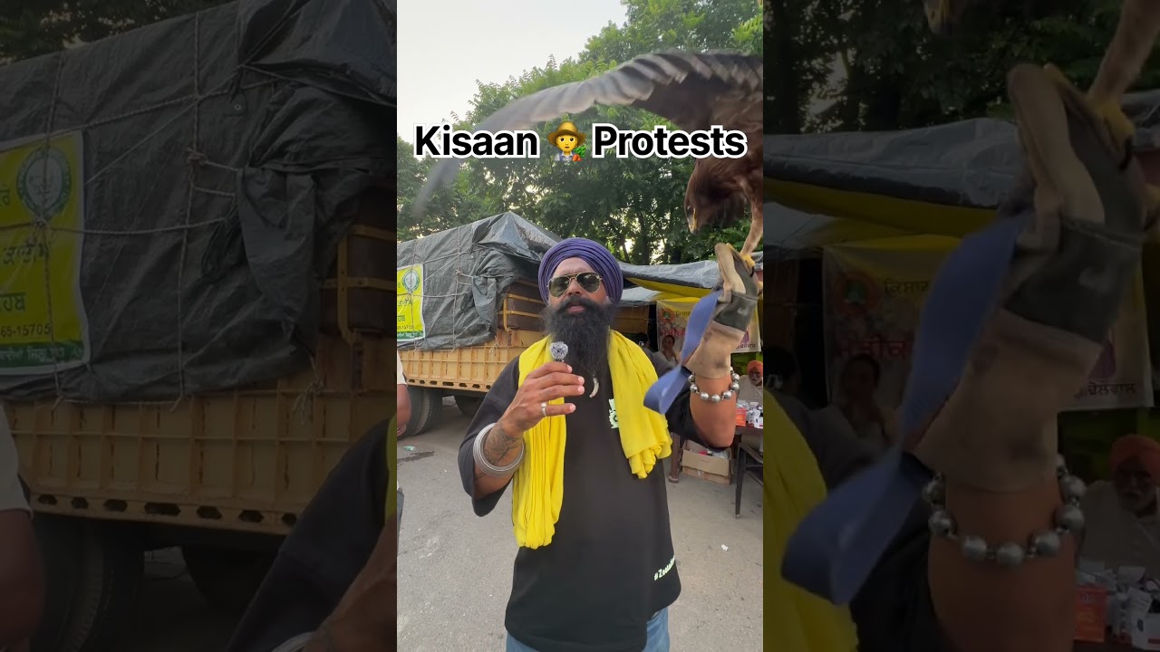 Kisaan protest #kisaan #kisaanmazdoorekta #kisaanmazdoorektazindabad #farmer #farmersprotest