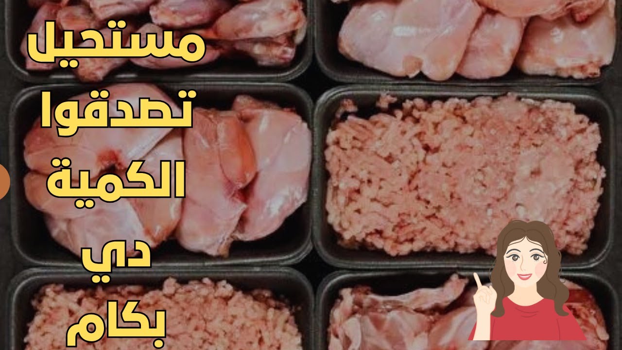 مشتريات لحوم شخهر 11 علي قد الميزانية ازاي 1000 جنيه كفوا الشهر كله