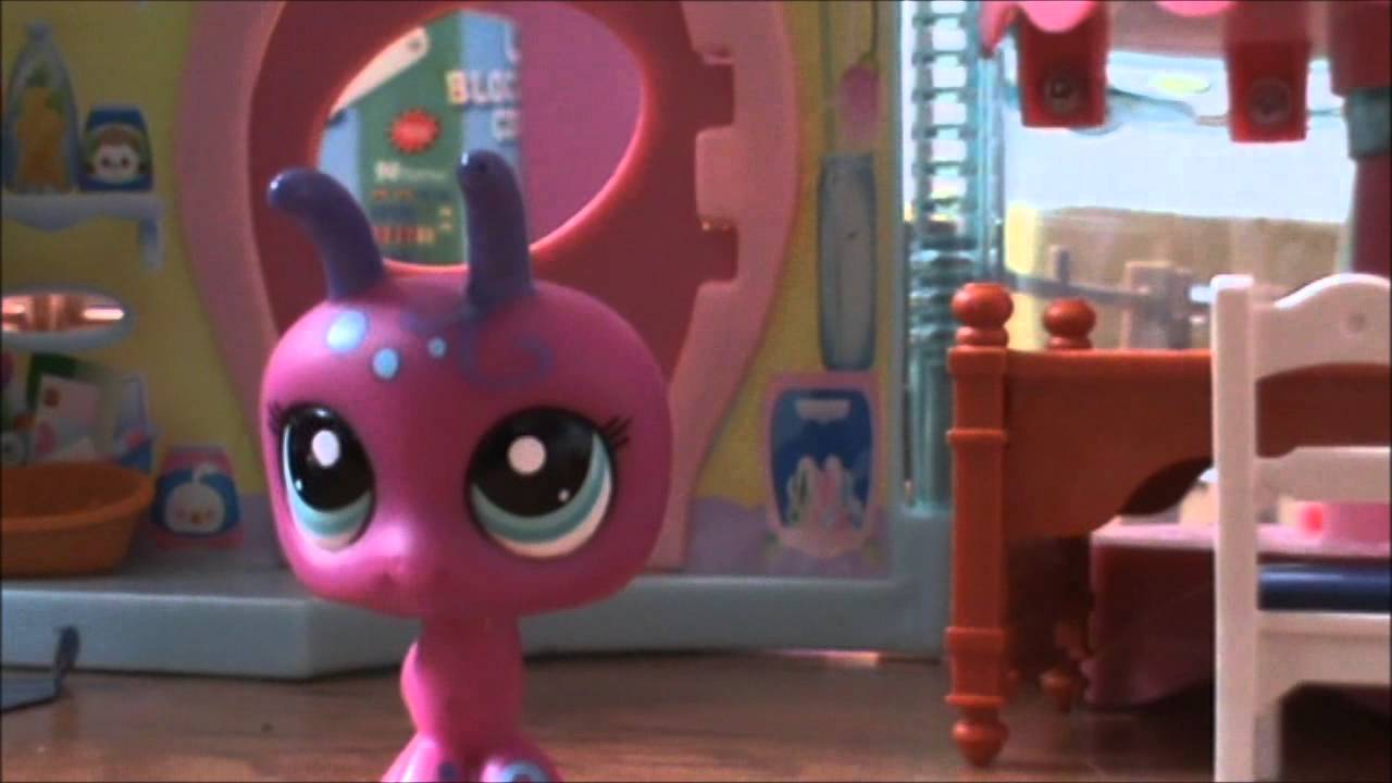 Petshop Présentation N°1