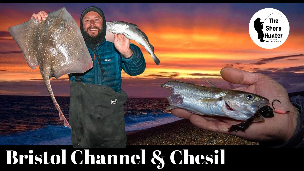 UK Beach Fishing, Chesil Beach & The Bristol Channel, Wayne Hand. Conger, Cod Fishing. #fishing