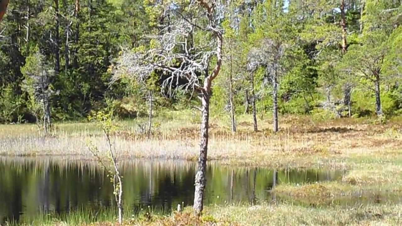 Trolltjern St Olavsspranget Flakk Lianvatnet