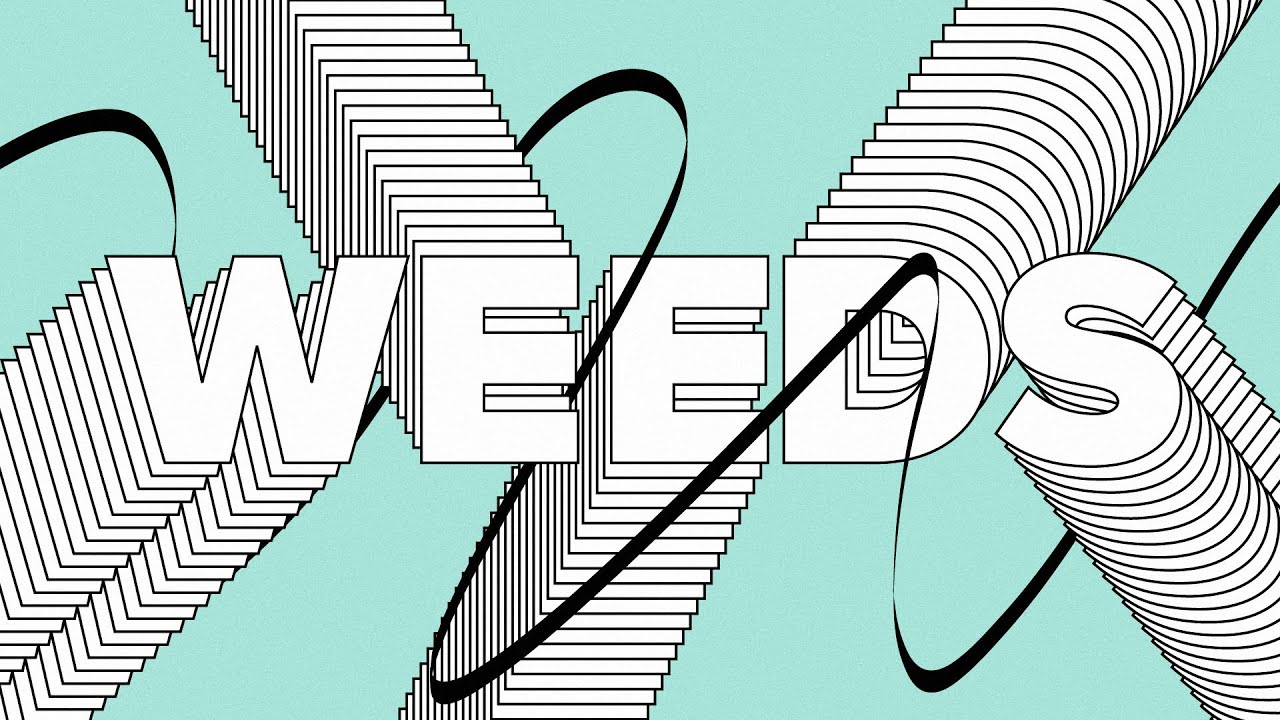 Wealth | Phil Kniesel