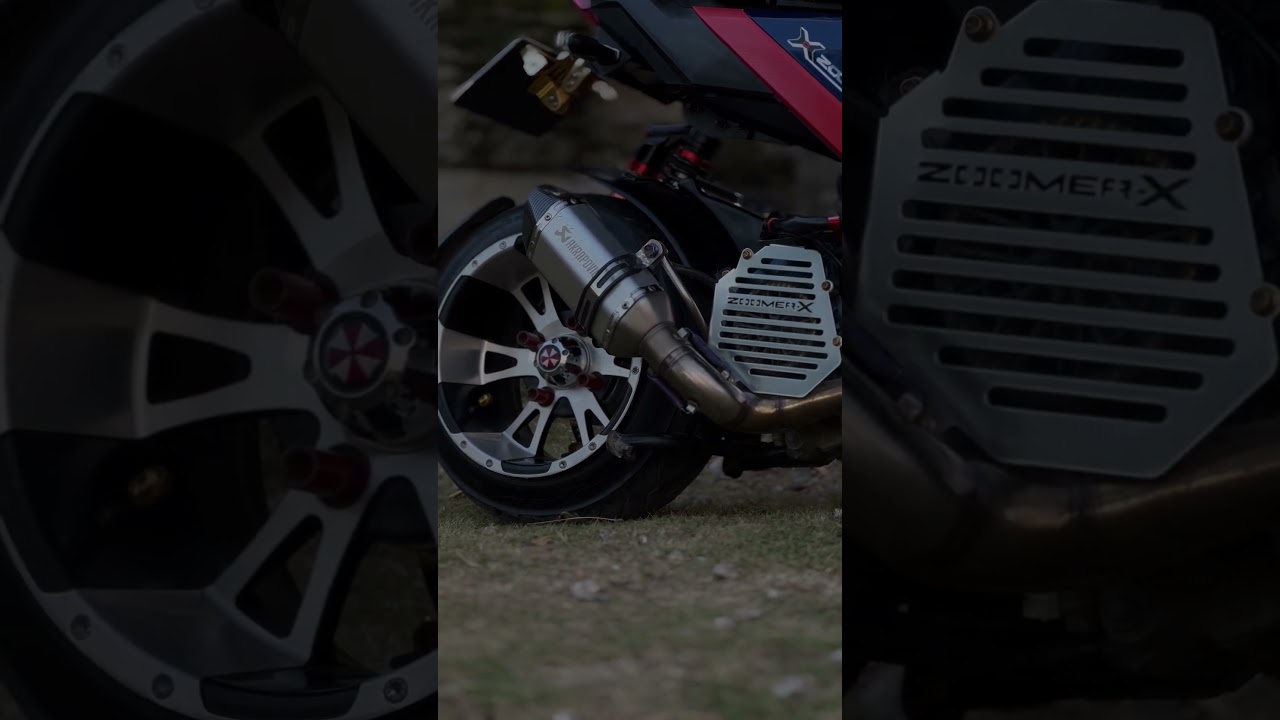 Honda  Zoomer x 