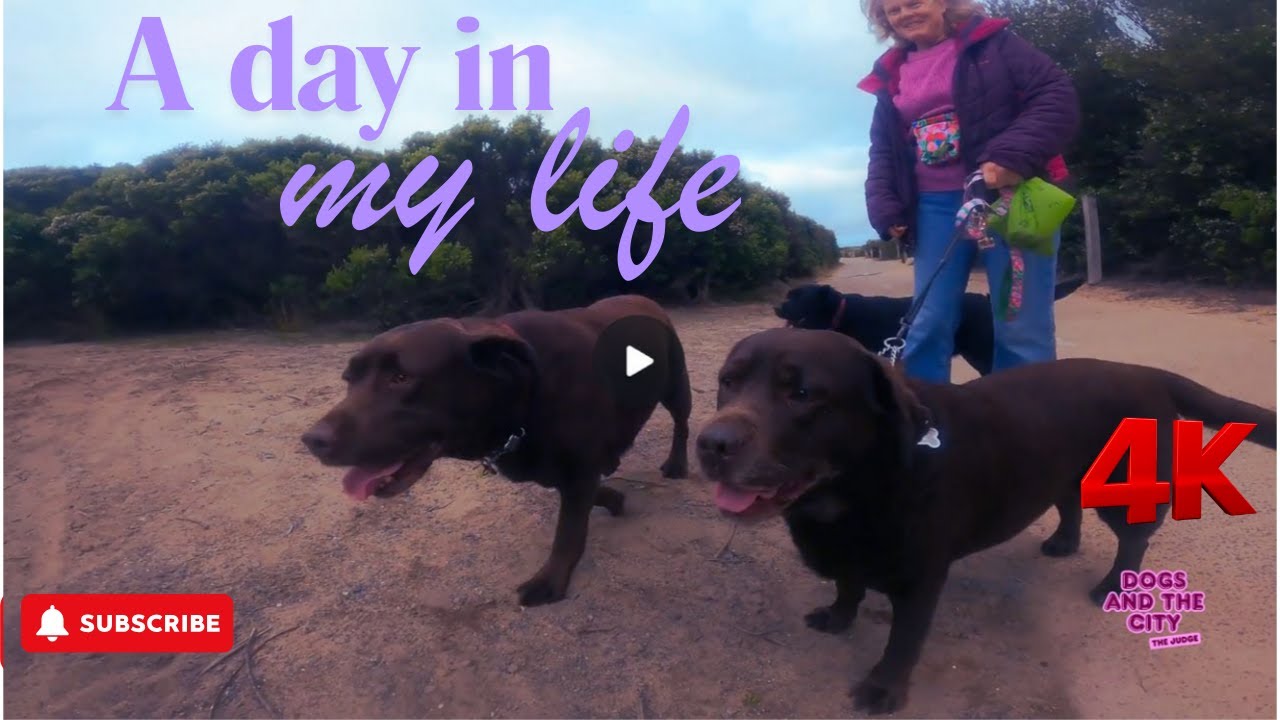 Perfect puppies bring joy and happiness to the world. Watch Now@dogsandthecity