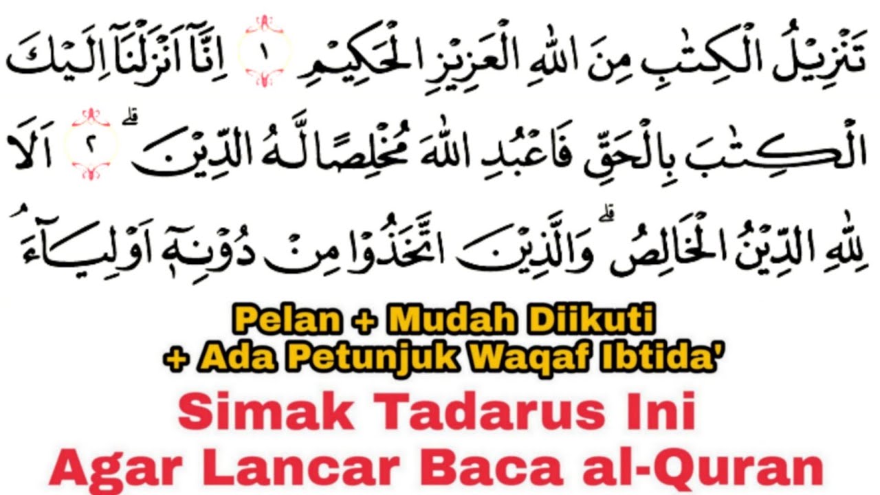 Tadarus Surat az-Zumar Ayat 1-21 Ada Tanda Warna Panjang & Dengung Agar Lancar Baca al-Quran