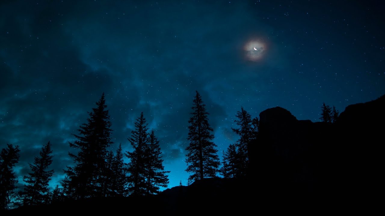Bring Nature Into Your Home | Forest Sounds At Night | Nature Sounds For Sleeping 30 minutes