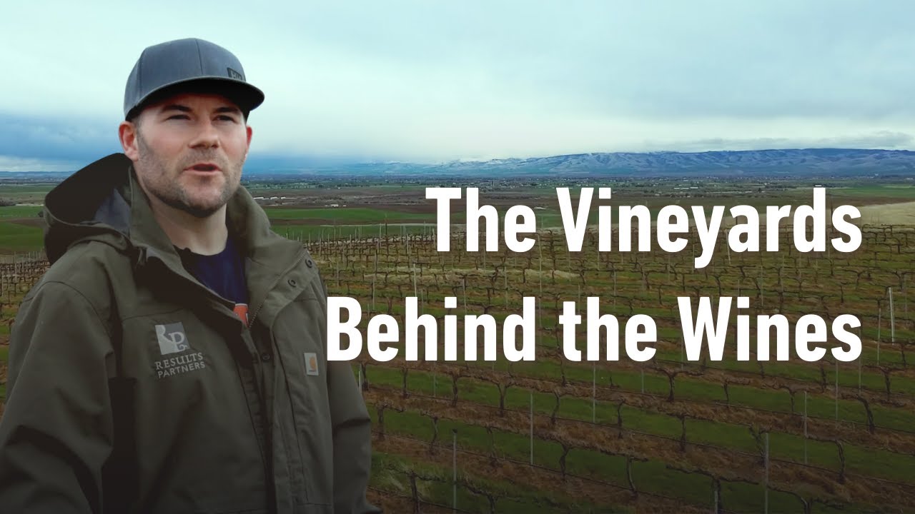 Behind the Wines: Vineyard Management with Nick Mackay at Carbondale Vineyard