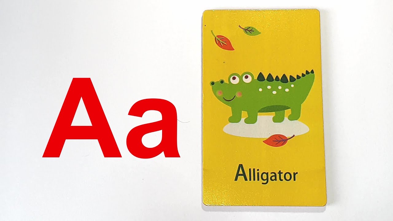 ABC song. Learn the alphabet easily with animal videos and flash cards.