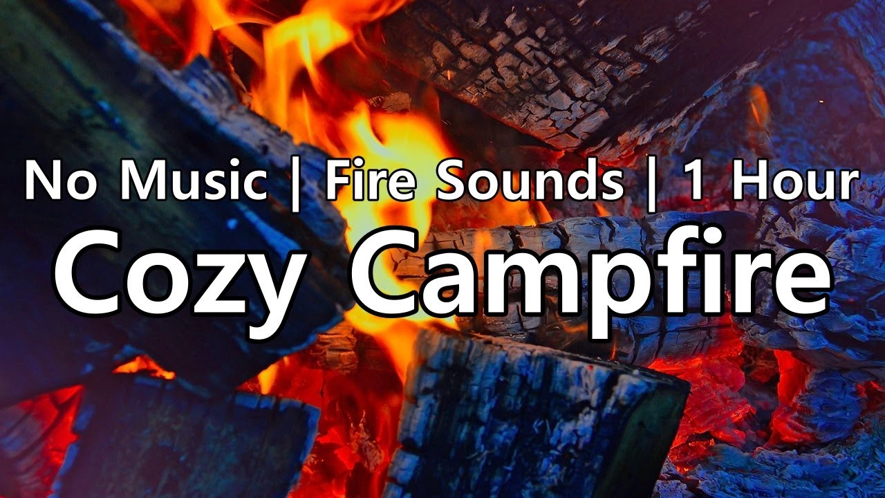 🔥Cozy Campfire | No Music | Fire Sounds | 1 Hour