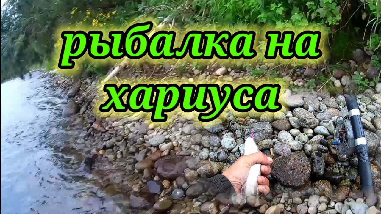 Рыбалка на реке Бия 👆