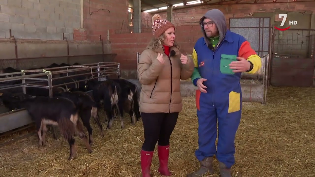Las rutinas de las cabras contadas con humor | El Correvuela