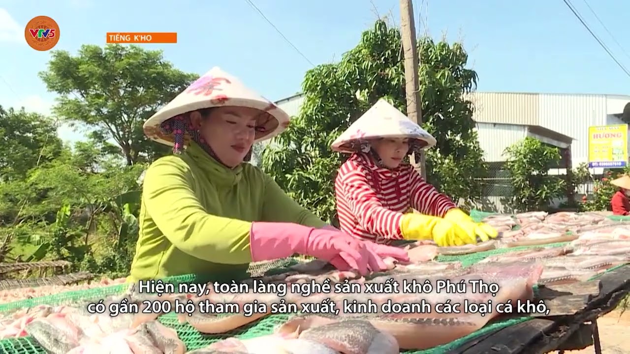 [TIẾNG CƠ HO] LÀNG SẢN XUẤT KHÔ CÁ VÀO VỤ TẾT | VTV5