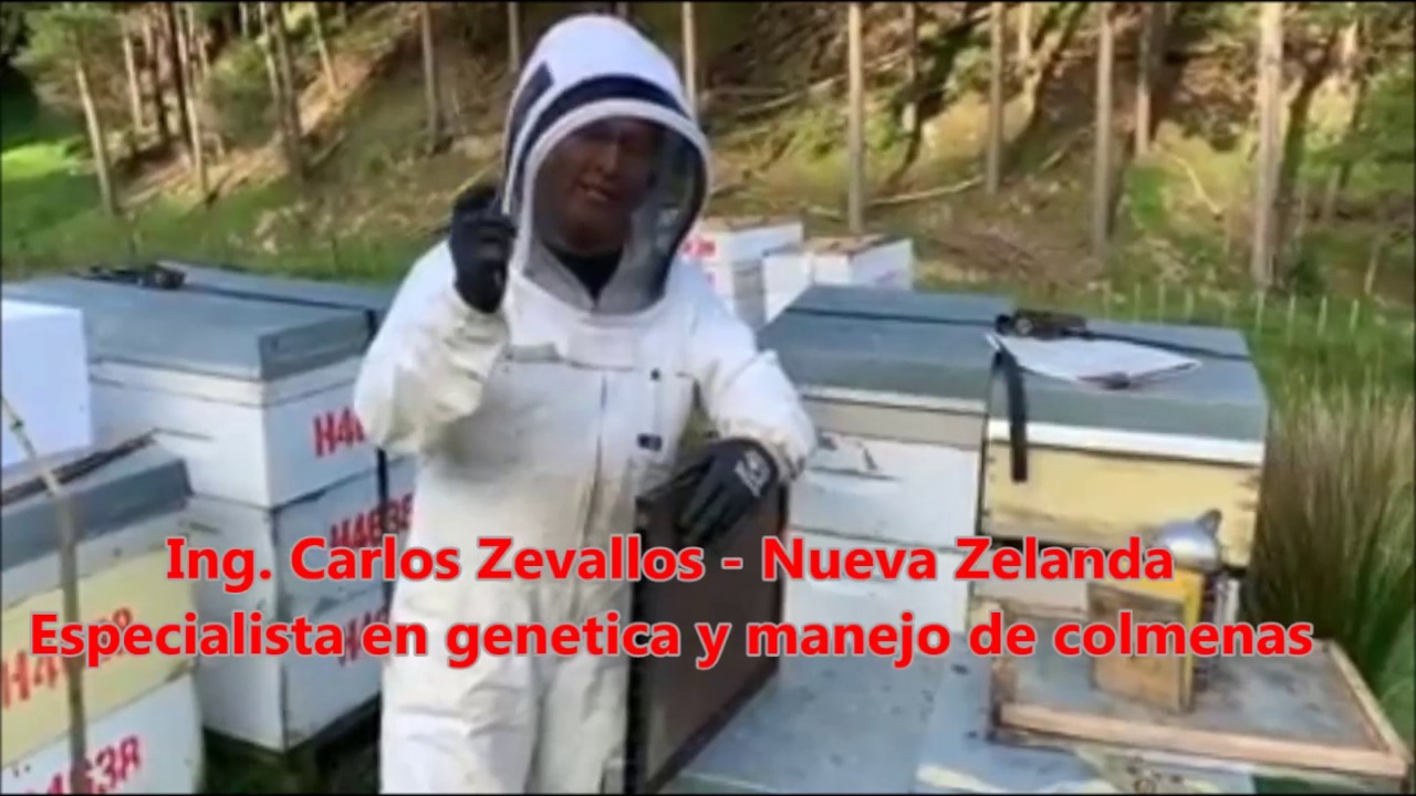 Colmena Doble Reina  1 - Parte (preparacion y tecnica)