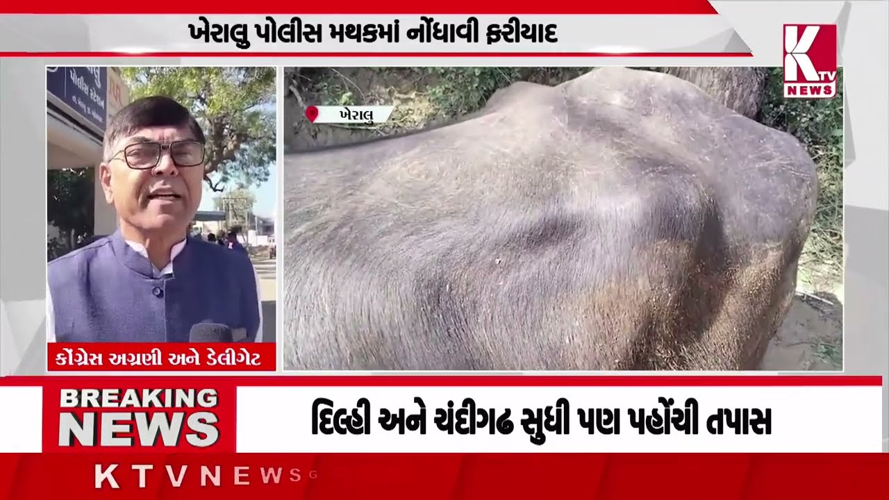 ખેરાલુ તાલુકાના દેલવાડા ગામે પાંચ ભેંસો ચોરાઈ; #kheralu