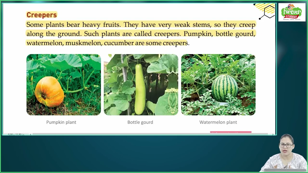 Ch 2 | Forever Student | Science | Class 1 | Knowing the Plants | For children