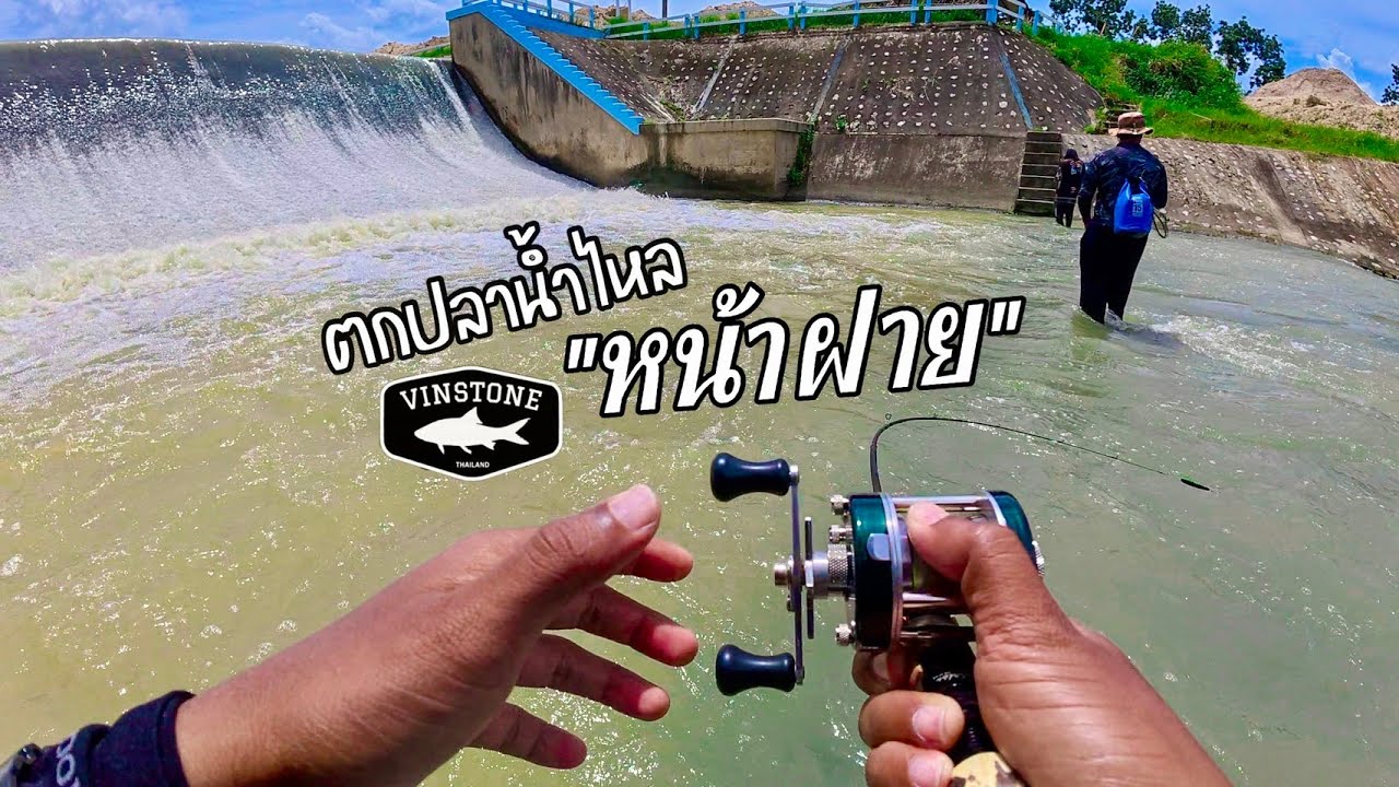 ตกปลาน้ำไหล หน้าฝาย ด้วยอุปกรณ์เล็ก แนว(stream fishing)