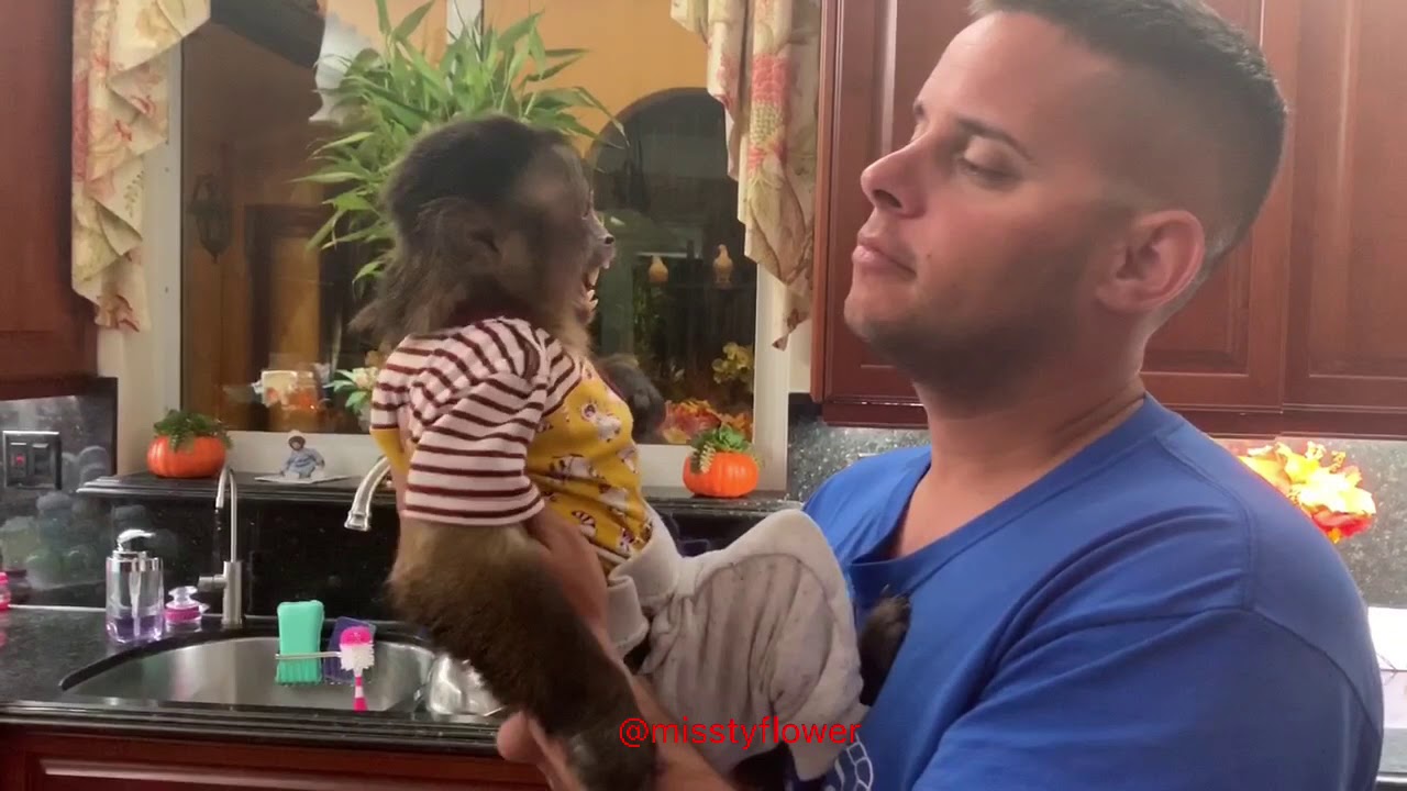 Monkey Russel noticed someone got home and it was his human brother! ❤️👍🏻😂🐒