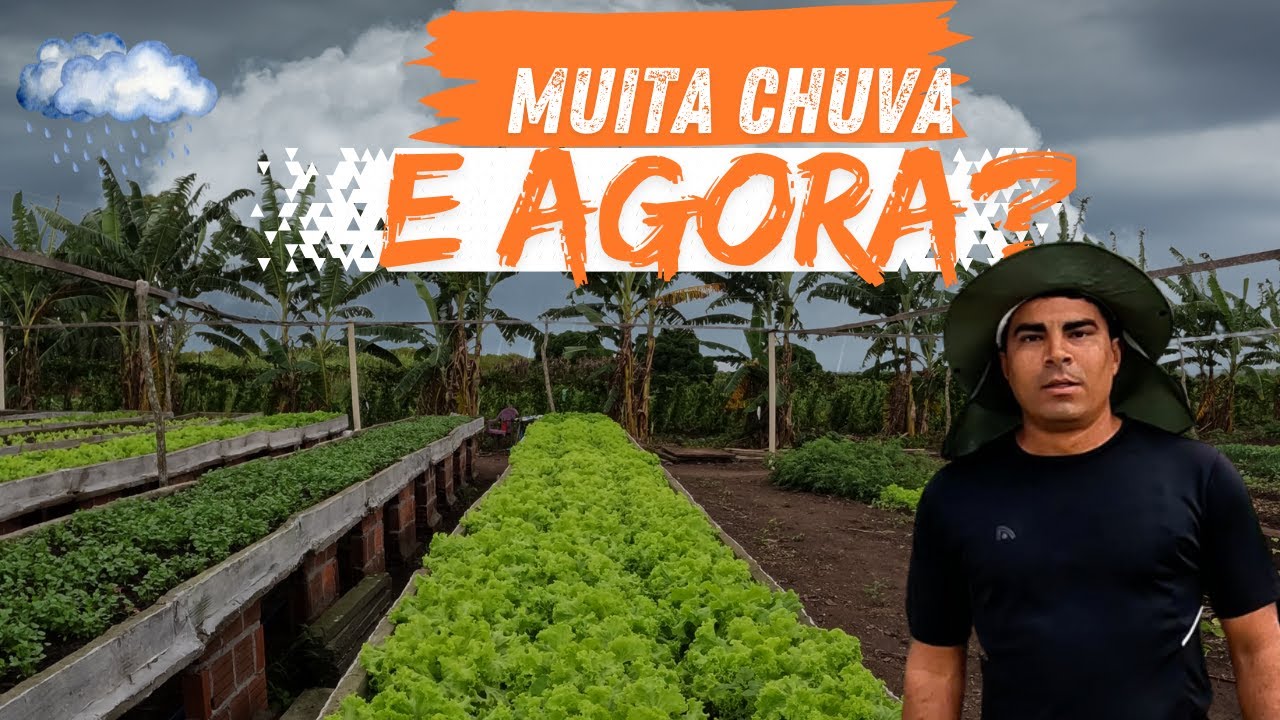 Horta Suspensa: Como Fazemos a Drenagem