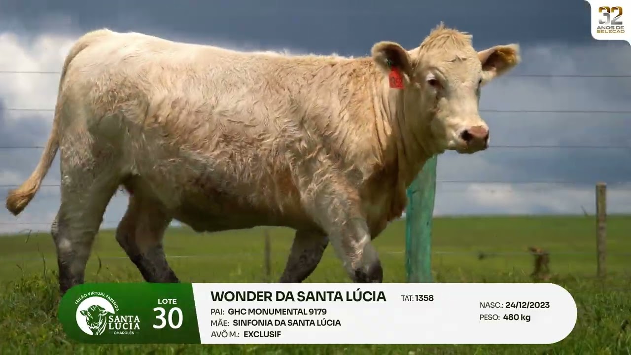 LOTE 30 - Leilão Virtual Fazenda Santa Lucia, 32 anos - 20/03/2026 - 19h