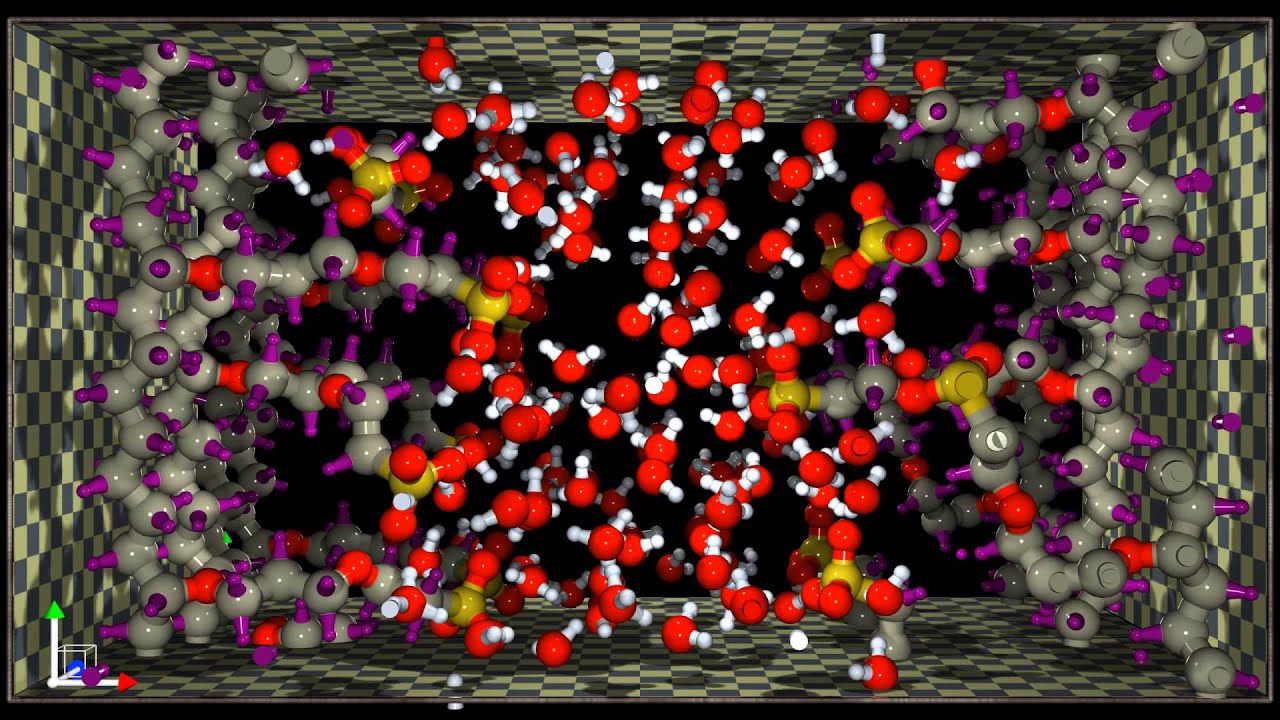 Nafion membrane: Quantum molecular dynamics (to watch in best quality, choose HD 1440p)