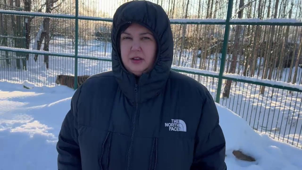 Простите за задержку👋