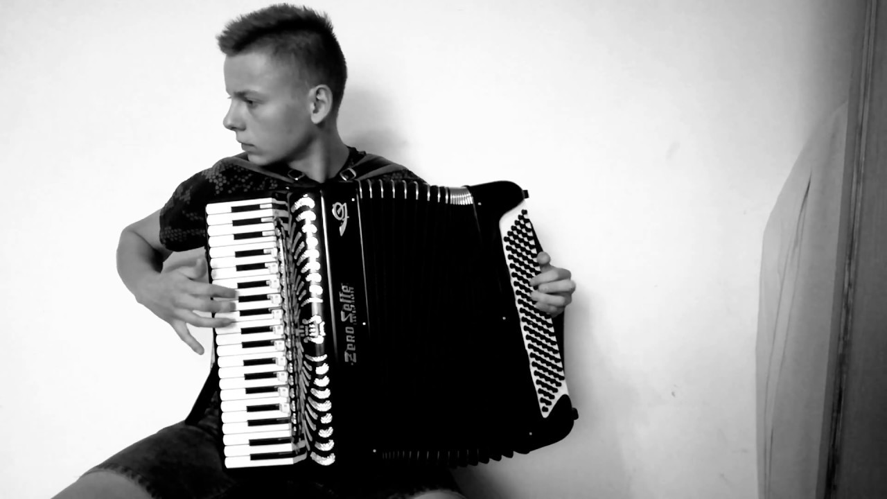 Luis Fonsi - Échame La Culpa ft. Demi Lovato / Accordion version