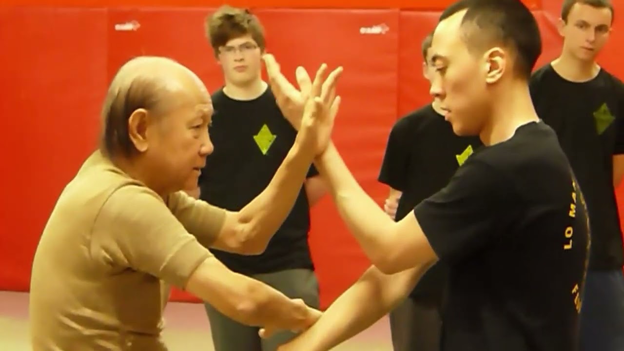 Wing Chun - Lo Man Kam training - 2013 - N°1