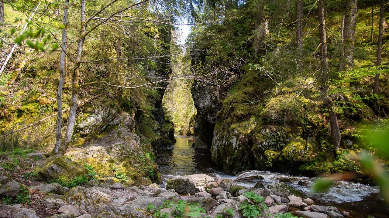 Viadukt- und Schluchtentour im Schwarzwald | Raus mit Klaus