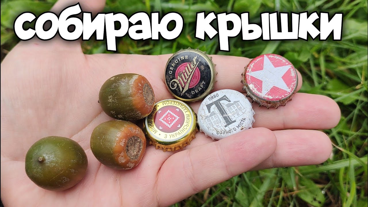 Тихая охота осень - больше желудей чем крышек от пива