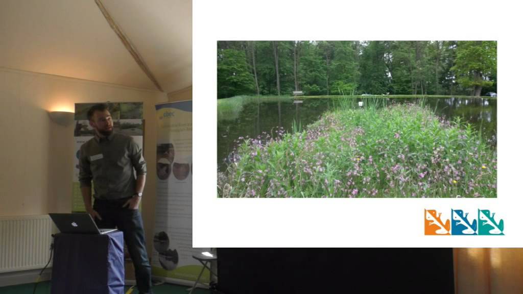 Richard Haine, frog environmental – BioHaven Floating Wetlands