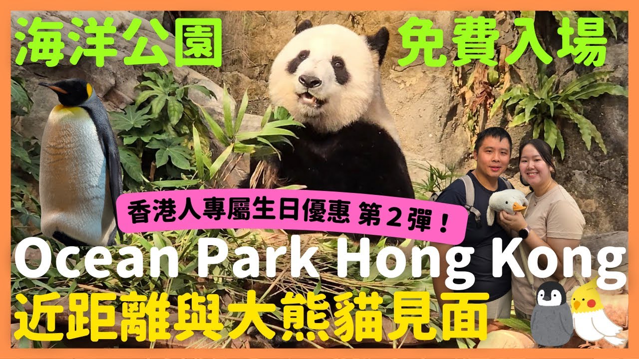【香港人生日優惠】海洋公園生日免費入場🎂｜無處不熊貓｜大熊貓安安可可﹑盈盈樂樂﹑龍鳳胎寶寶加加（家姐）得得（細佬）｜AIA香港摩天輪｜推薦打卡熱點｜香港自由行｜ #真實評測｜Momojoejoe