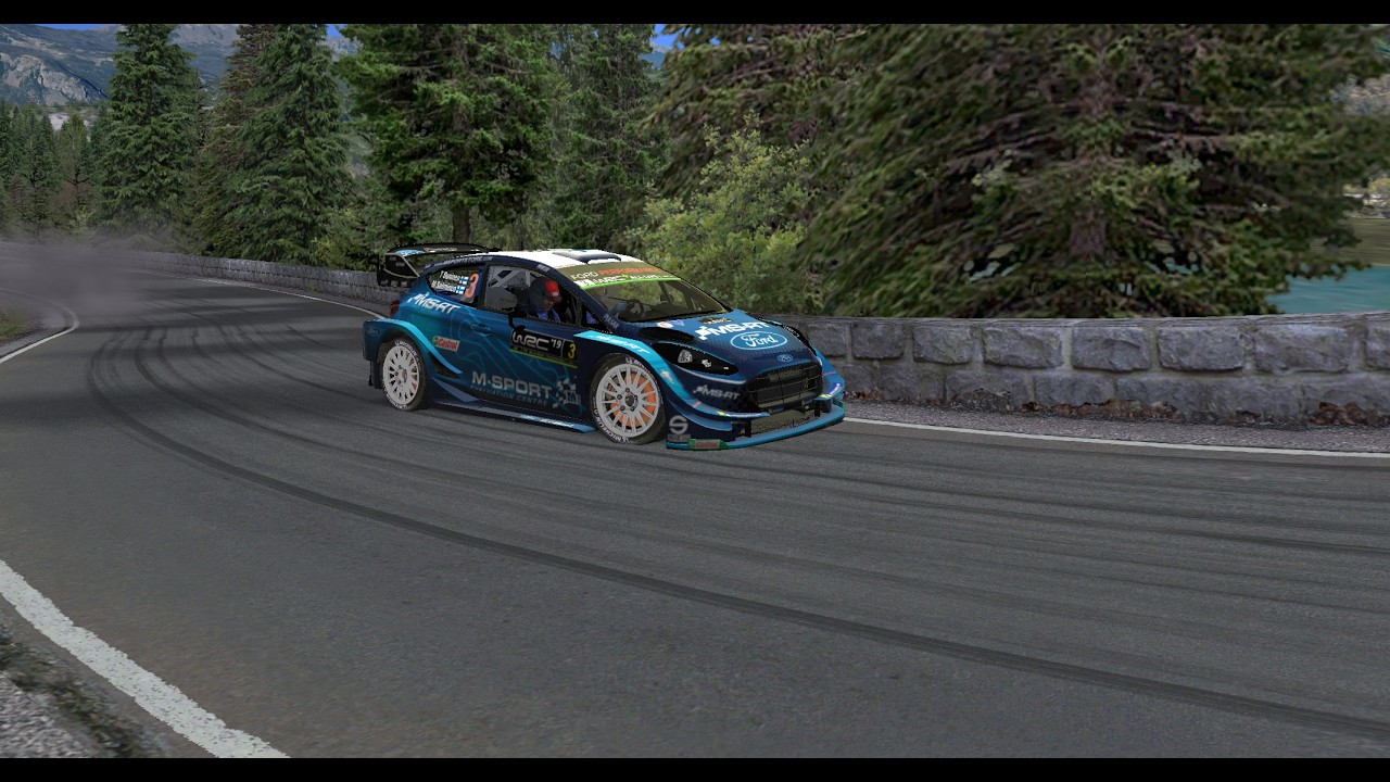 Sturec top 151 word ford fiesta WRC 2019