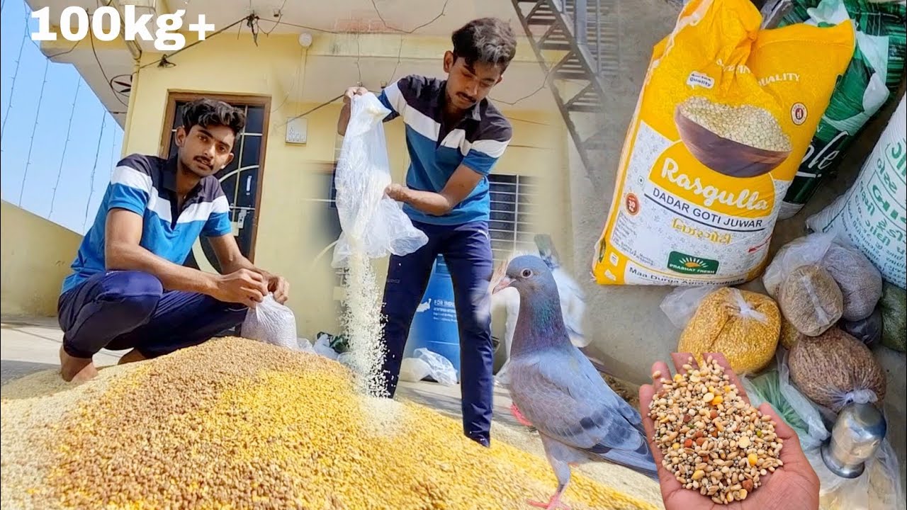 Mix Feed Taiyaar Hogya🤩