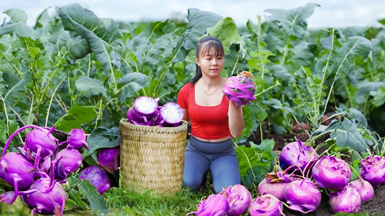 Harvest Kohlrabi & Soybeans Go To Market Sell, Grow new vegetables, Fishing, Braised fish star fruit