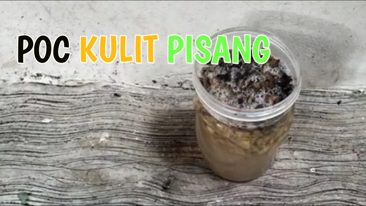 Kulit Pisang Jadi Pupuk? Ini Cara Praktis dan Manfaatnya