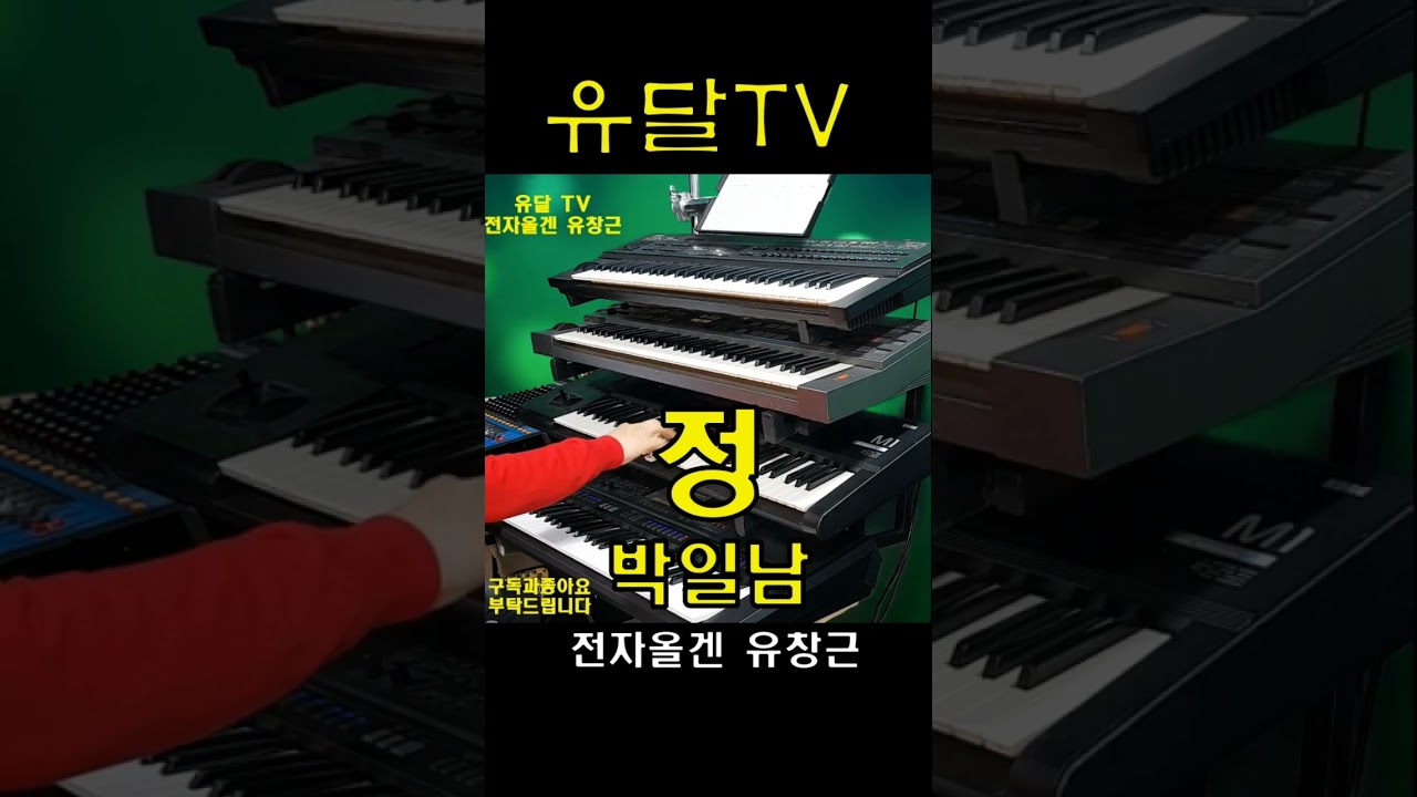 박일남.정 #트로트 #전자올겐경음악#전자올겐연주