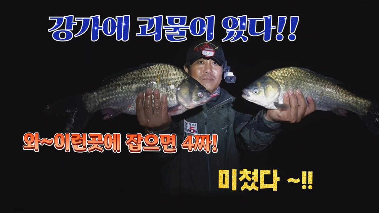 강가에서, 이런 괴물들이~? #전층낚시 #중앙어수라 #초계찌 #내림낚시 #거북선 좌대