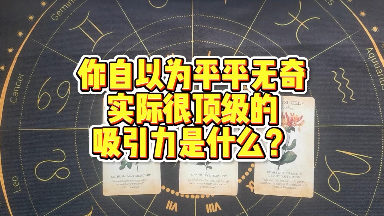 【塔羅牌占卜】你自以为平平无奇，实际很顶级的吸引力是什么？