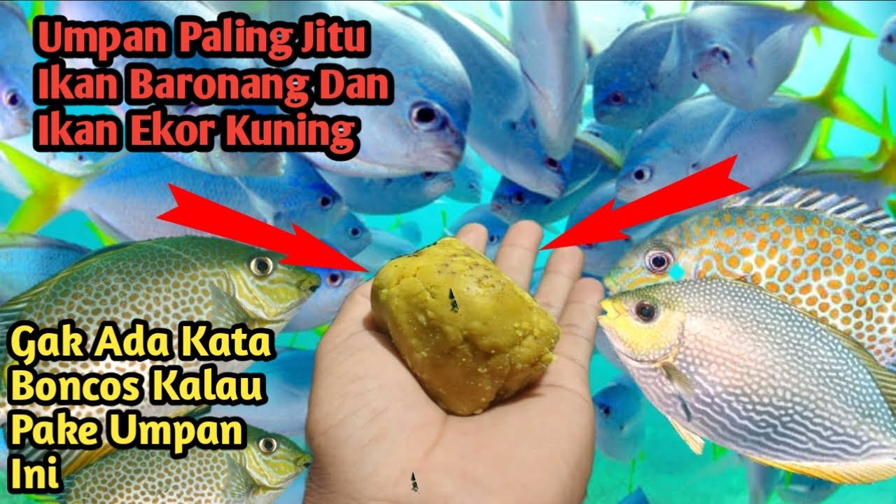 Рыболовные приманки Baronang Fish и Delah