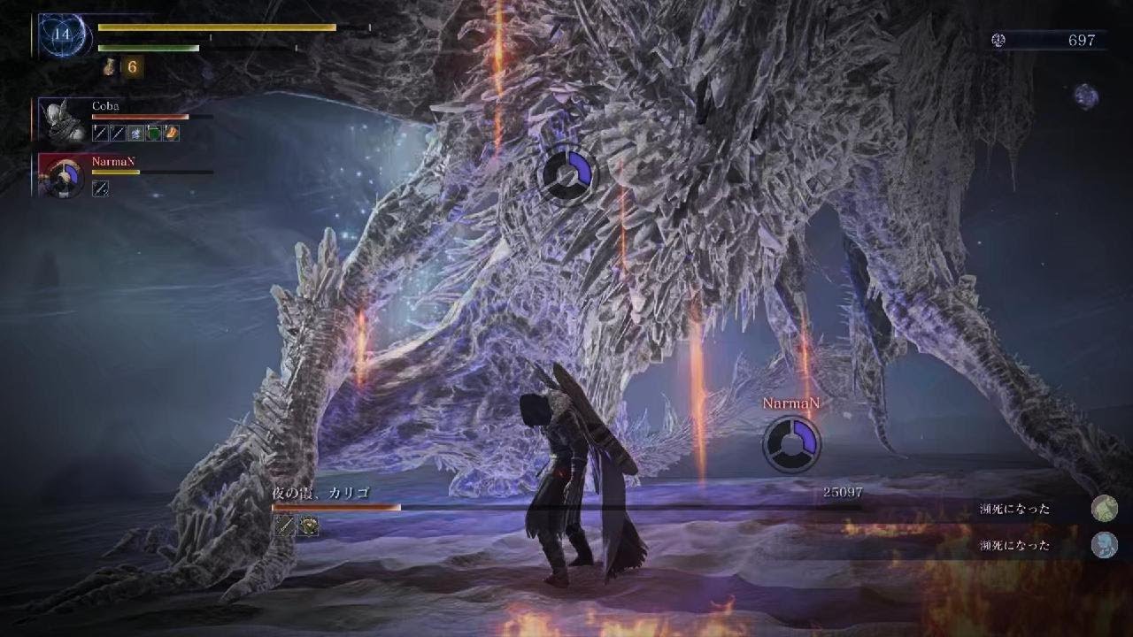 深度4常世カリゴ ナーマン&のら　のらさん強いELDEN RING NIGHTREIGN_20260228004717