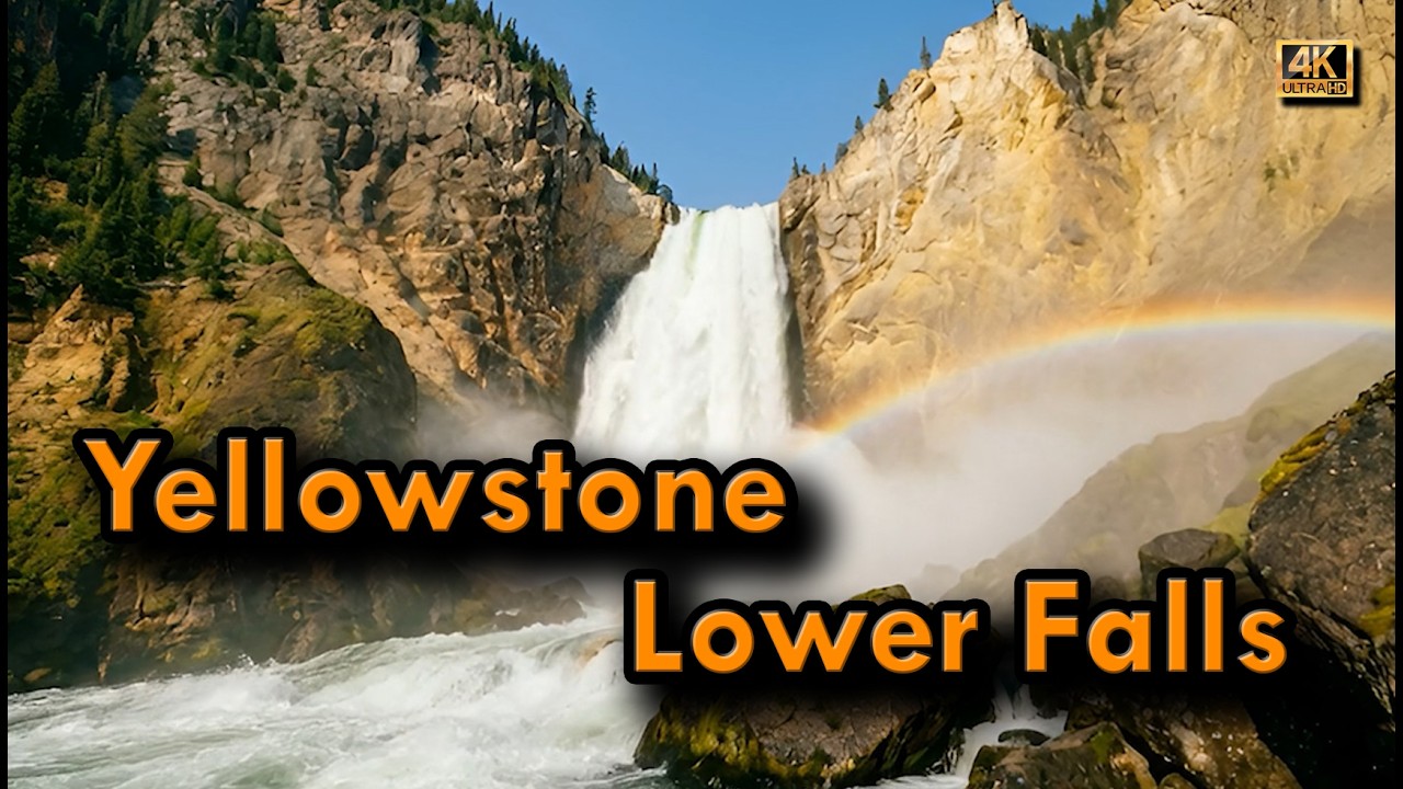 Lower Falls Yellowstone 4K | Powerful Waterfall in Yellowstone National Park for Sleep & Relaxation